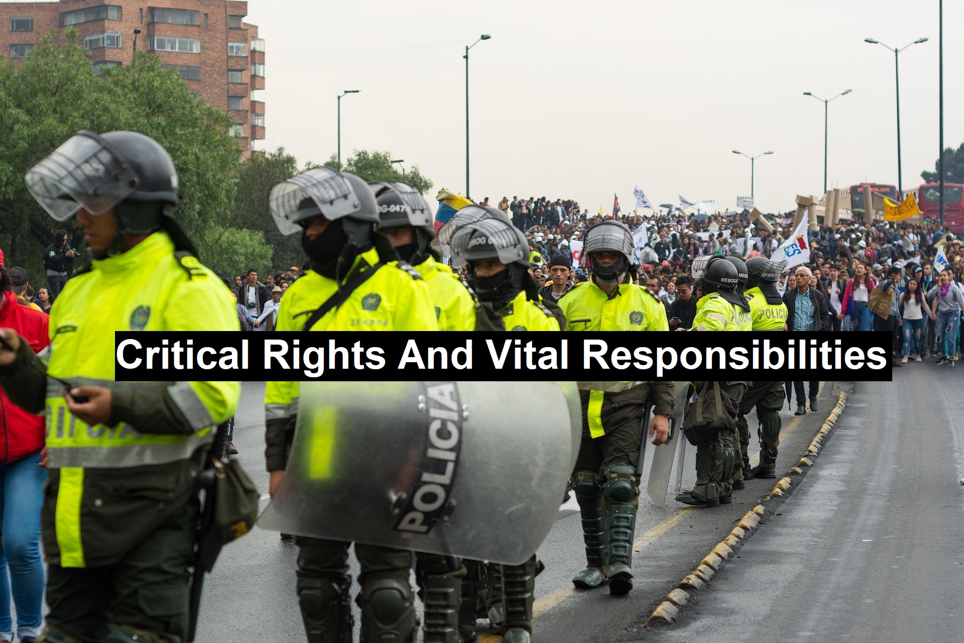 Critical Rights