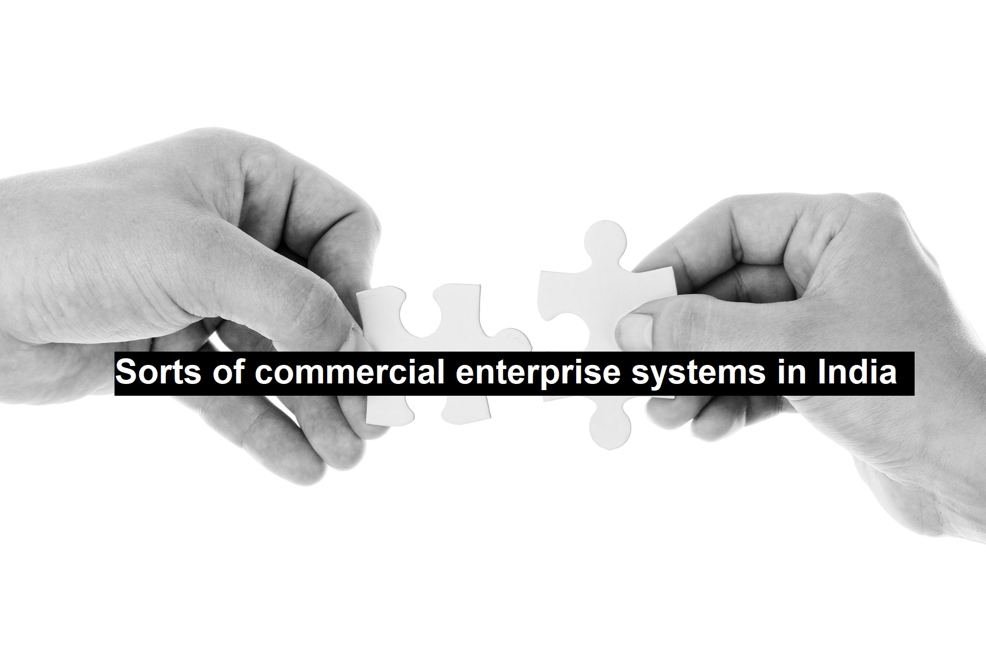 commercial enterprise
